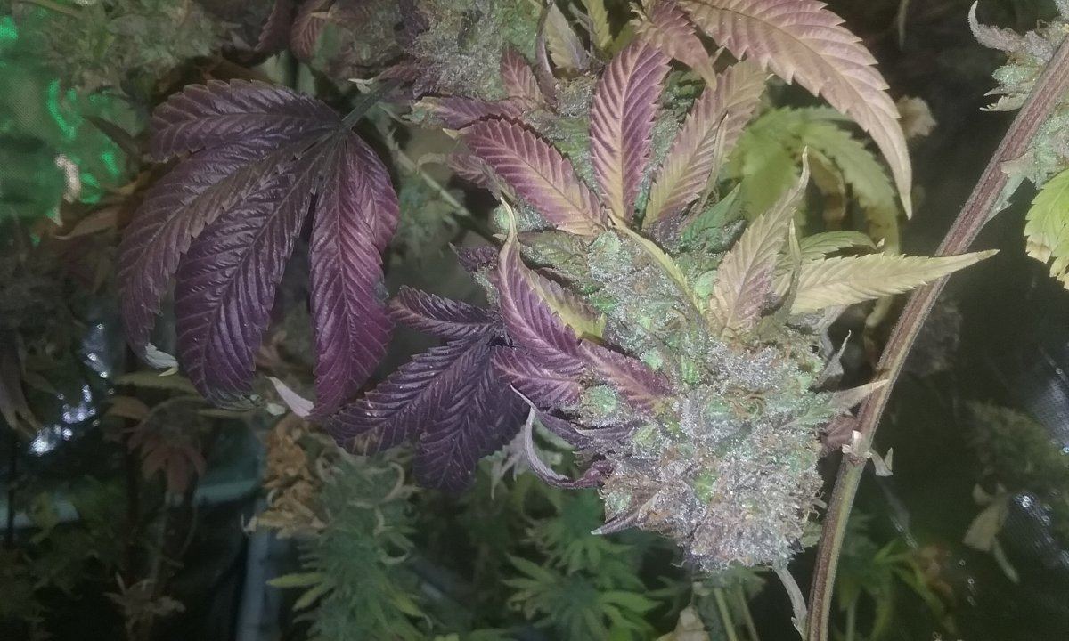 20170129 160651