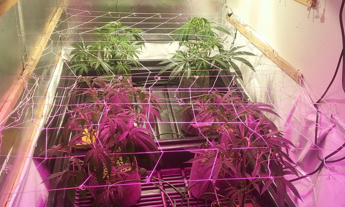 20170129 164402