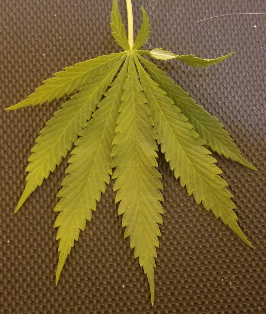 20170129 171519