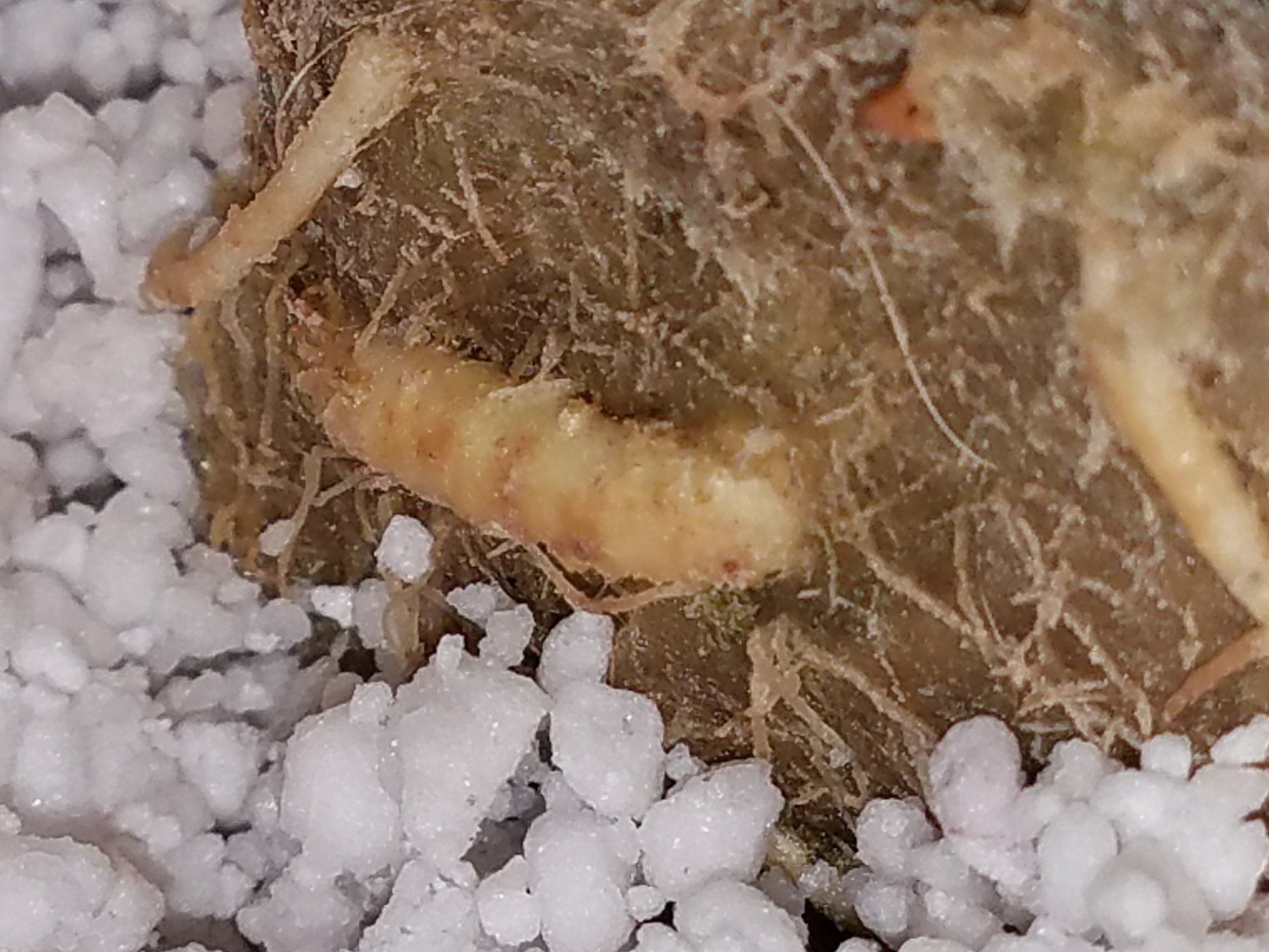 20170221 210137