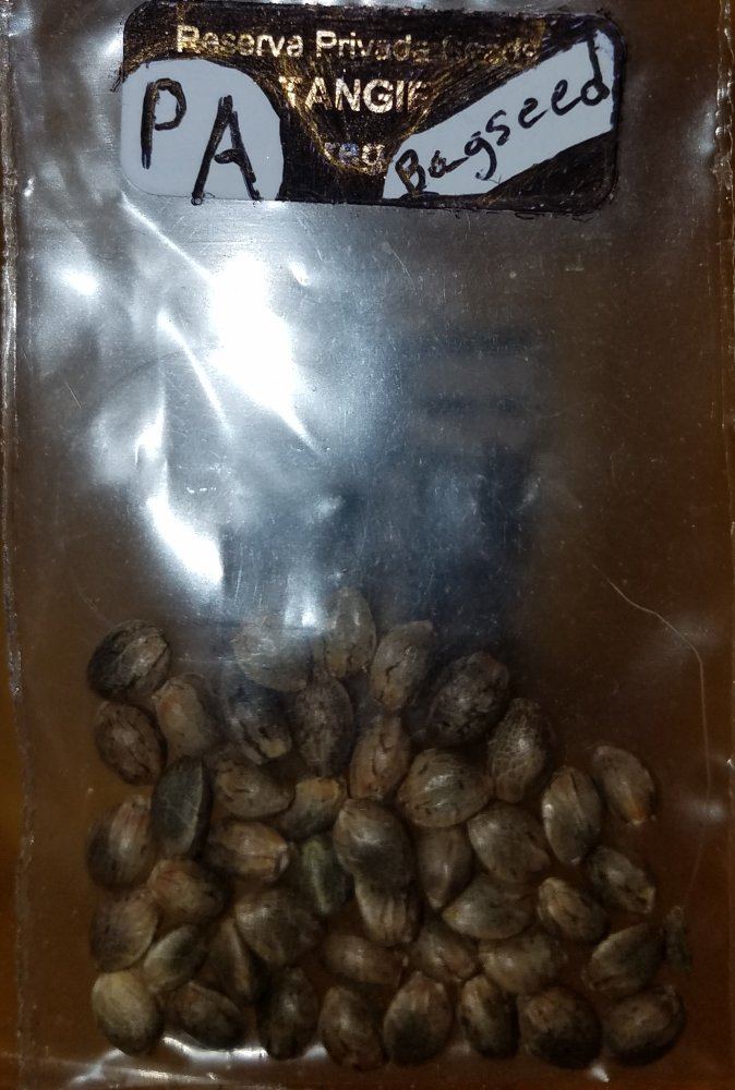 20170223 200903