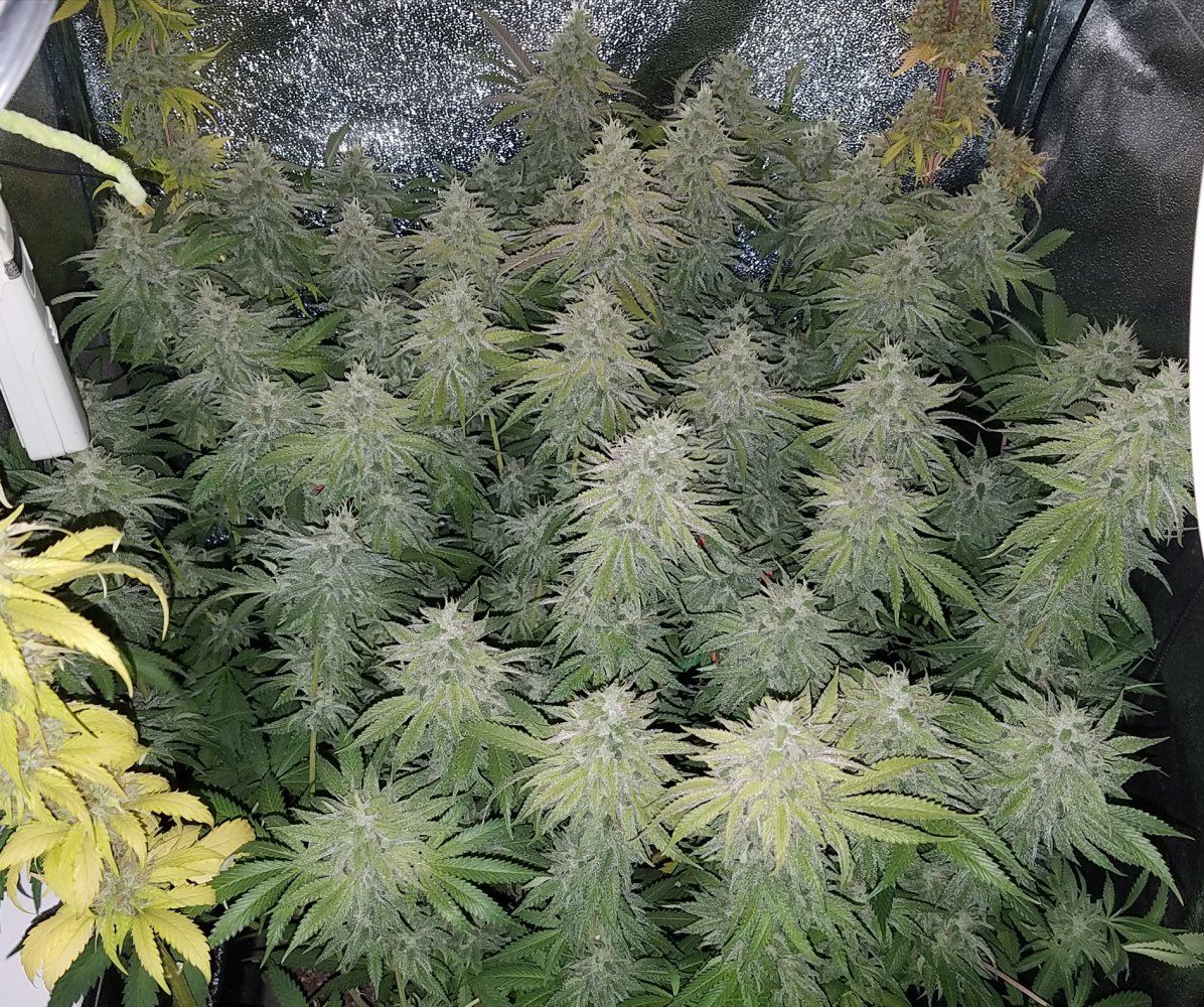 20170301 051152