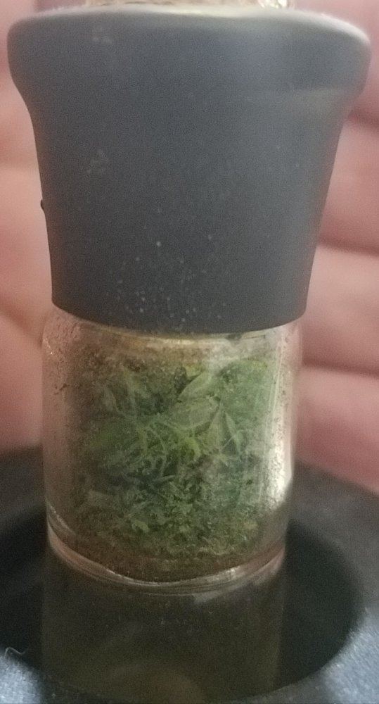 20170304 043753