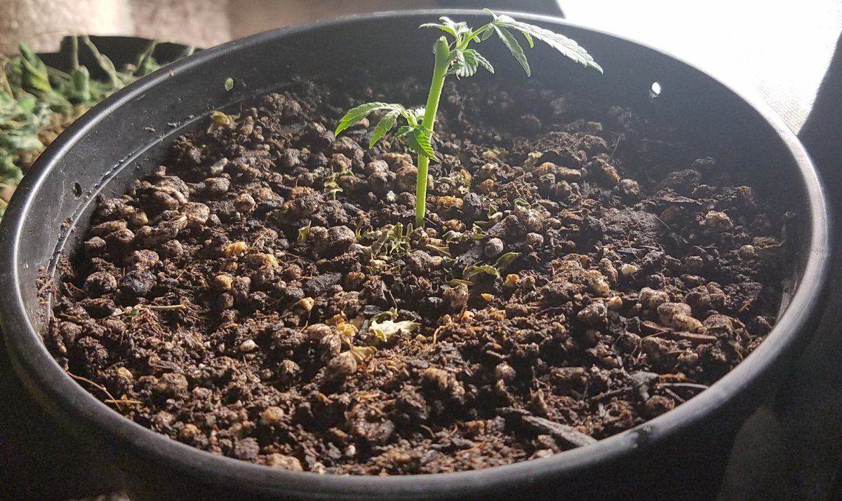20170311 215146