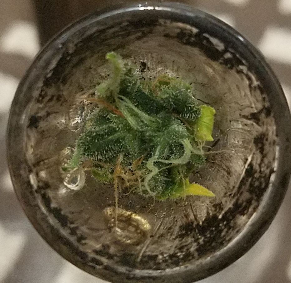 20170313 150327