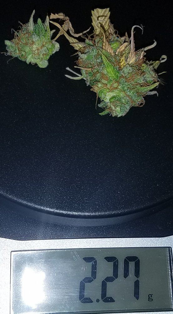 20170313 233028