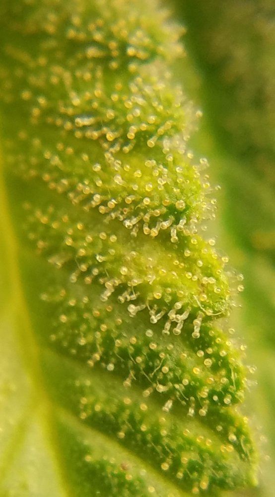 20170314 173006