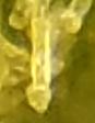 20170314 183642