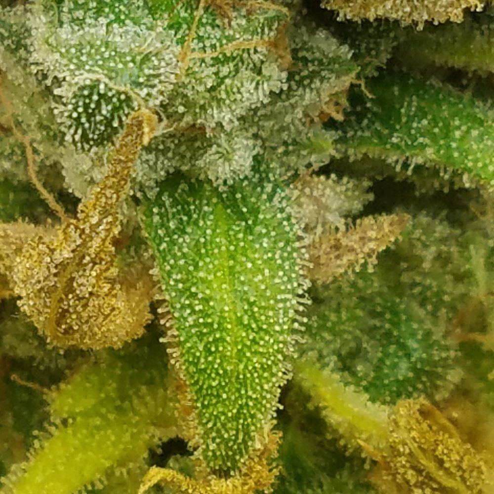 20170322 230155