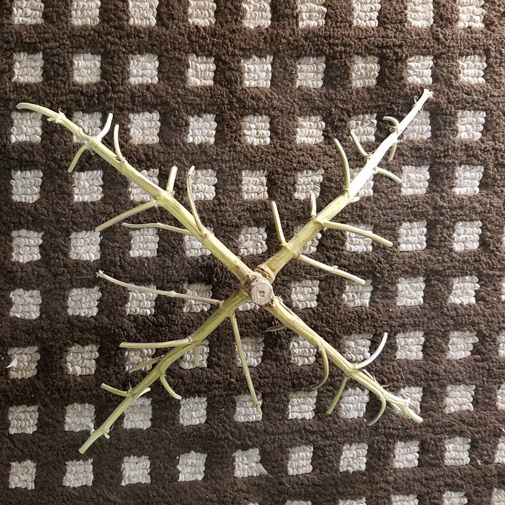 20170401 204115