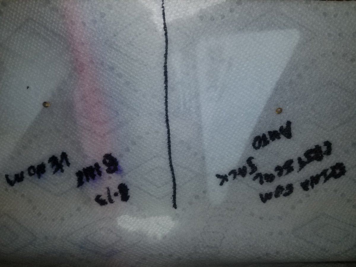 20170405 013746