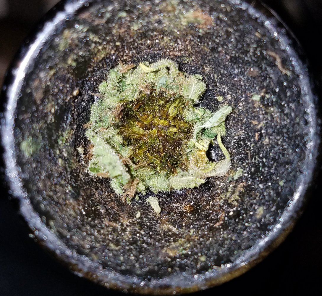 20170416 004928
