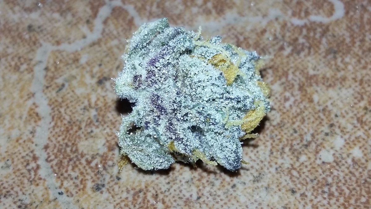20170429 101042