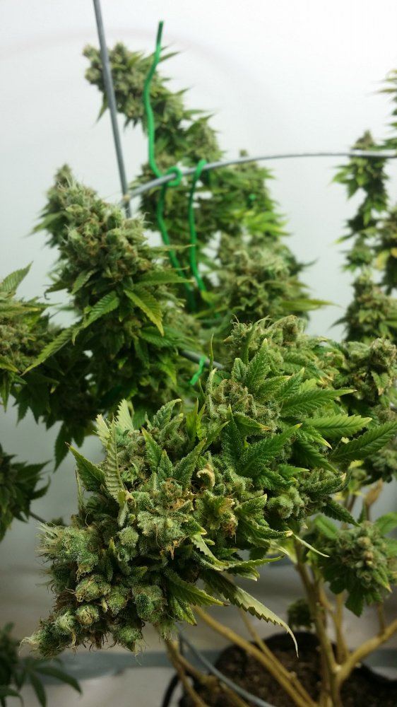 20170502 163428