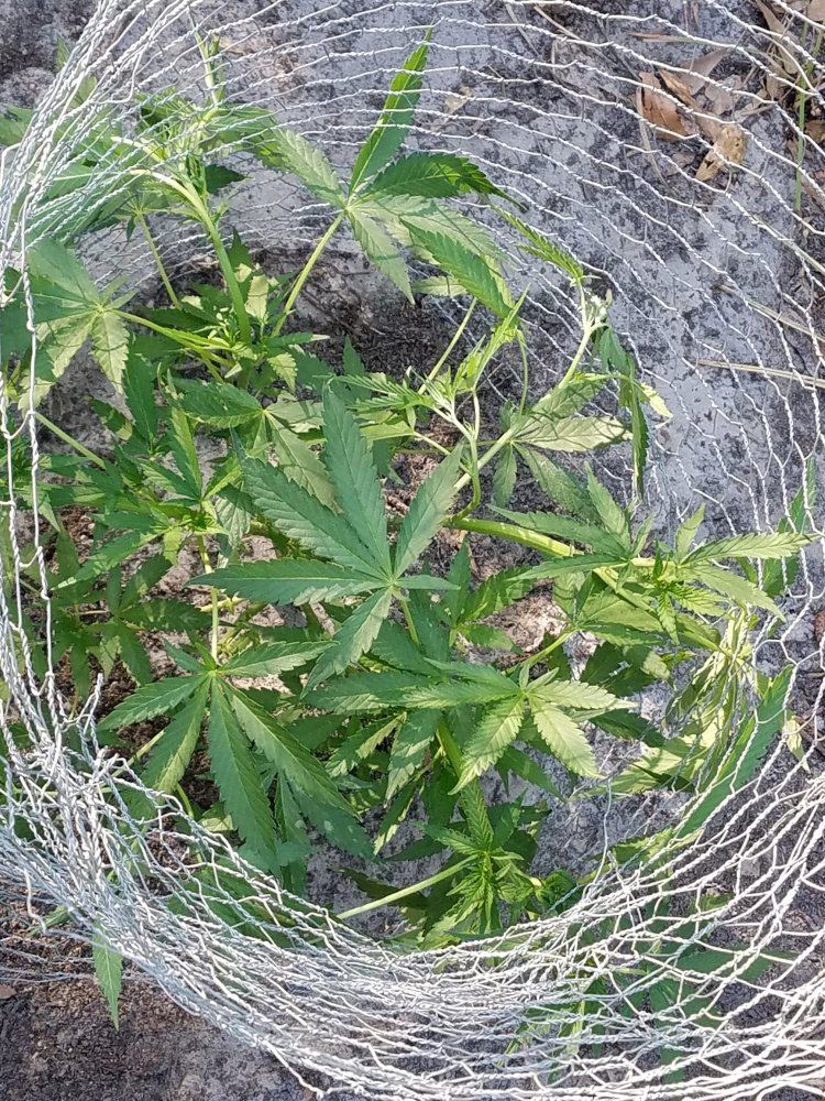 20170509 182942