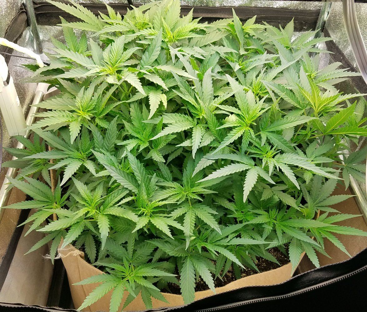 20170510 172726