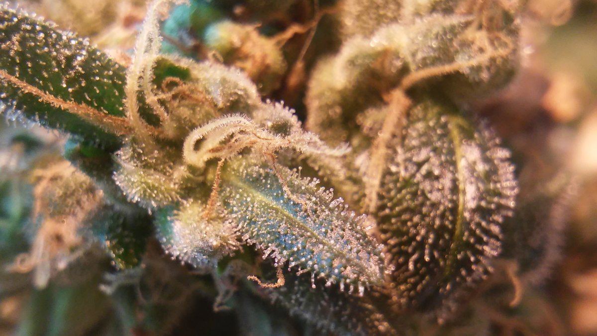 20170520 105108