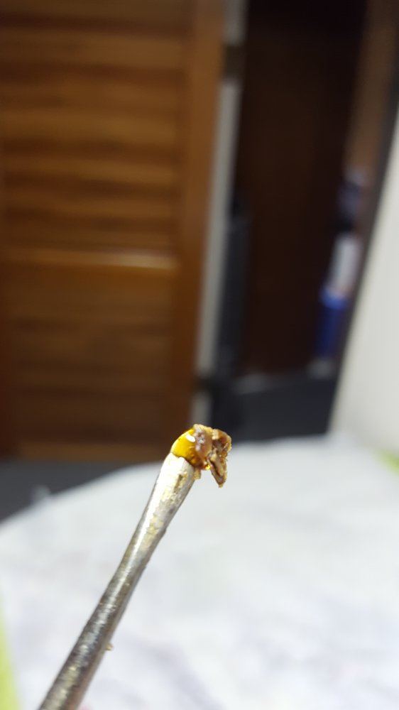 20170527 203351