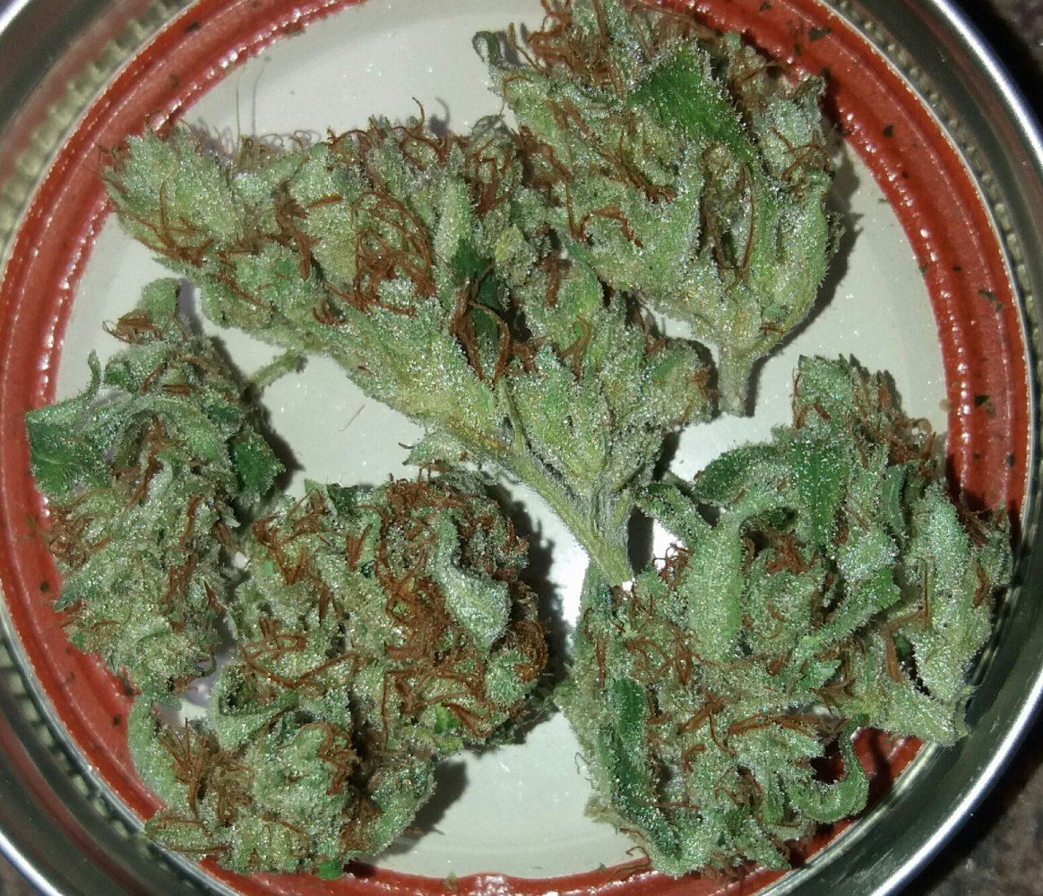 20170602 105538