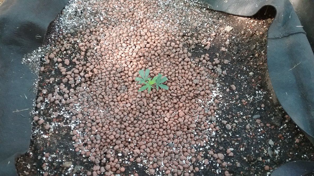 20170604 100311