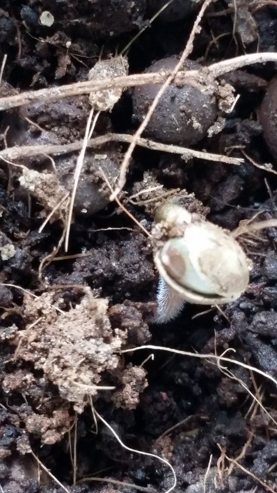 20170606 110339