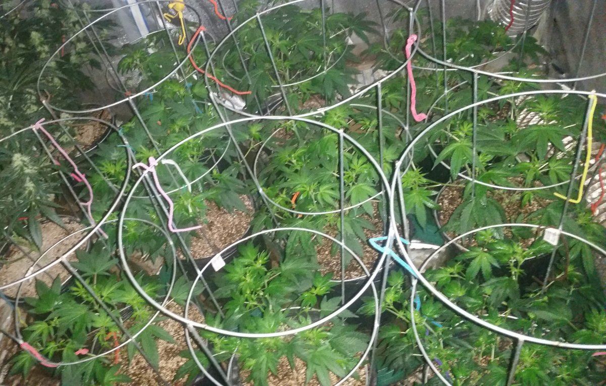20170617 174612