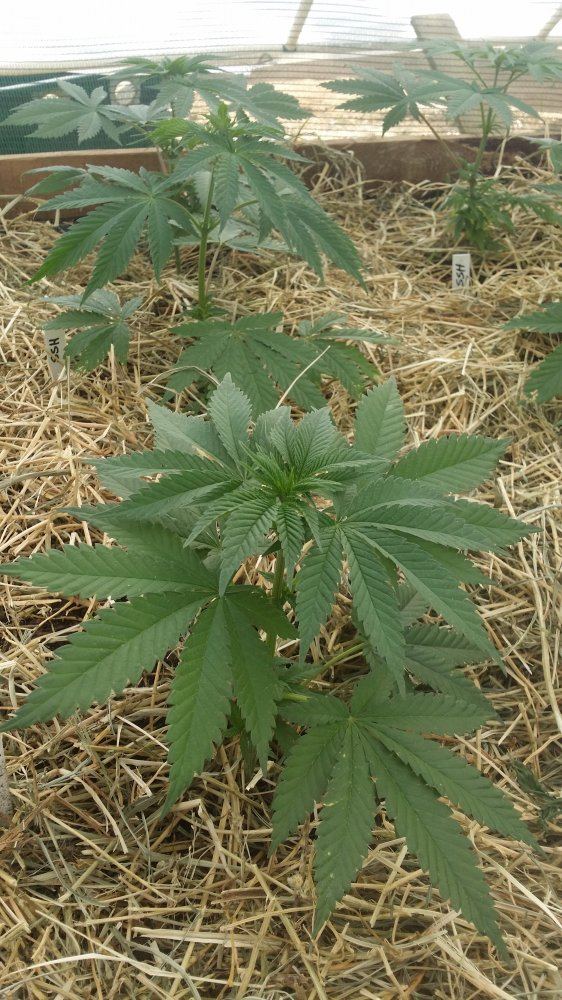 20170620 154719