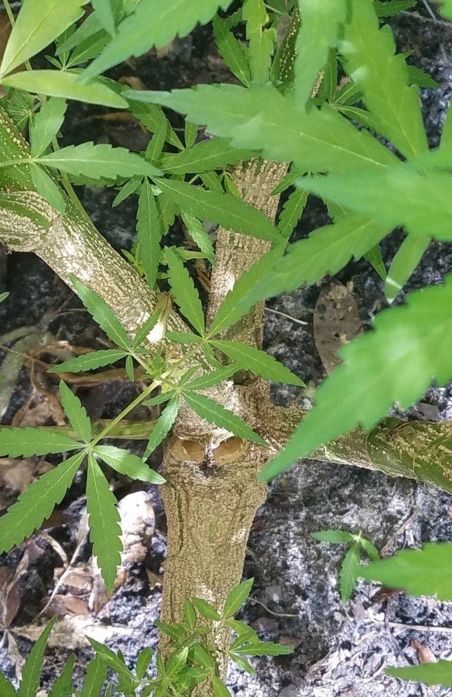 20170624 155248