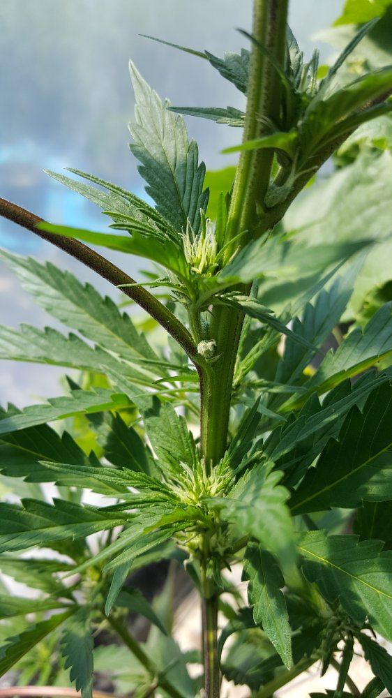 20170626 124413
