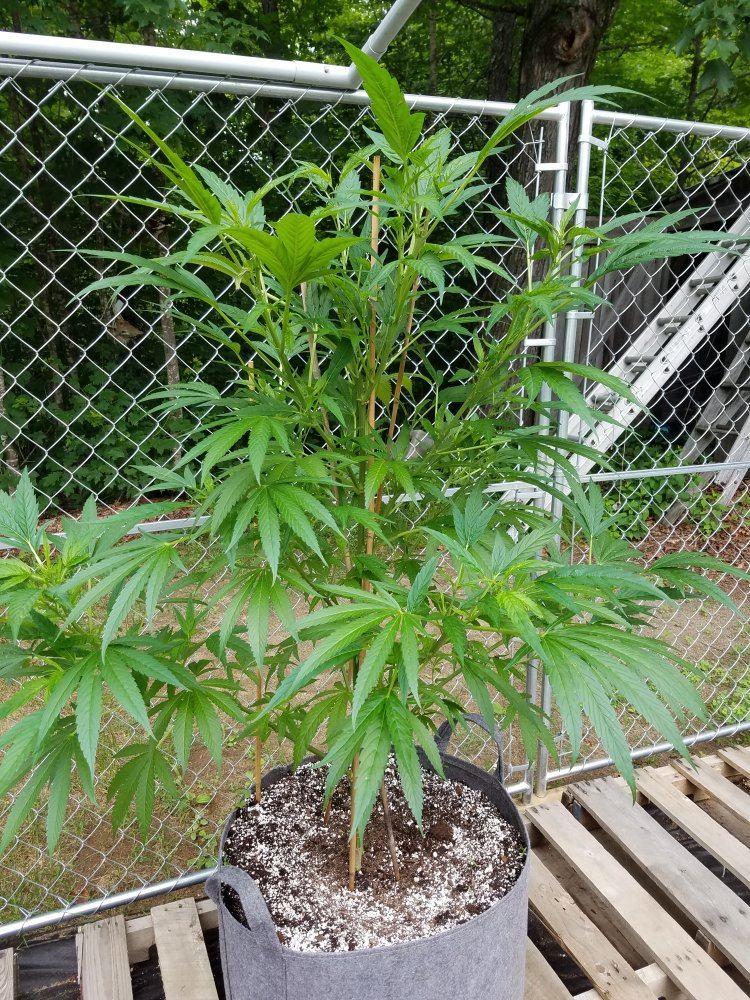 20170701 121959