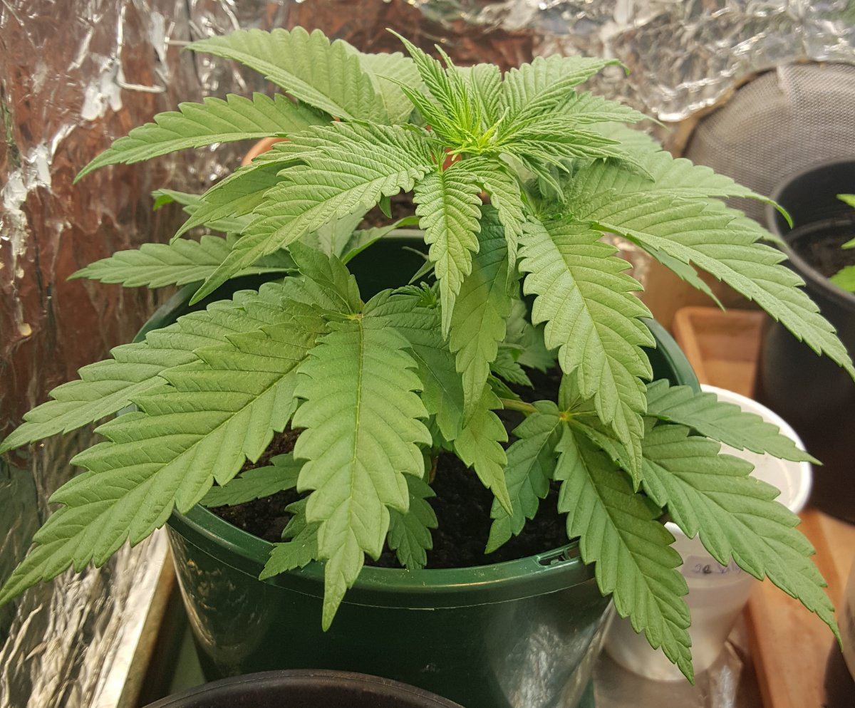 20170730 130239