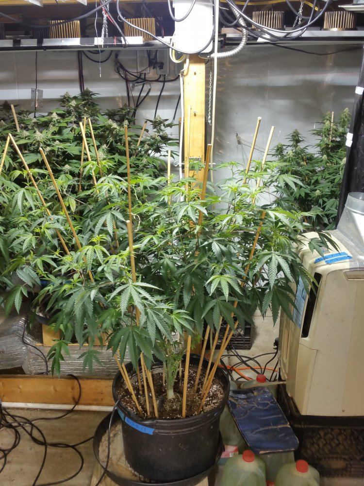 20170811 185908