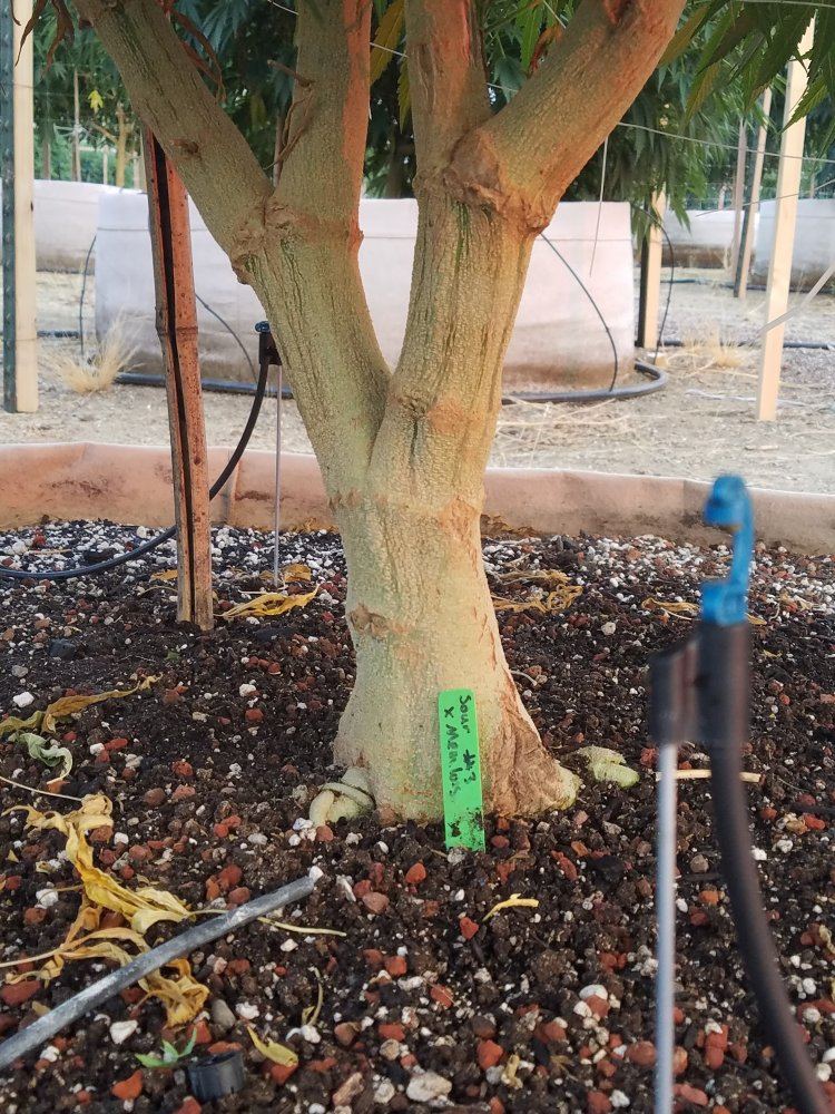 20170820 193701