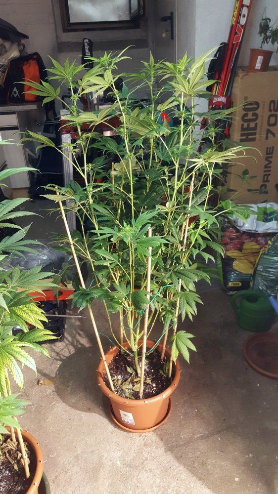20170822 204341