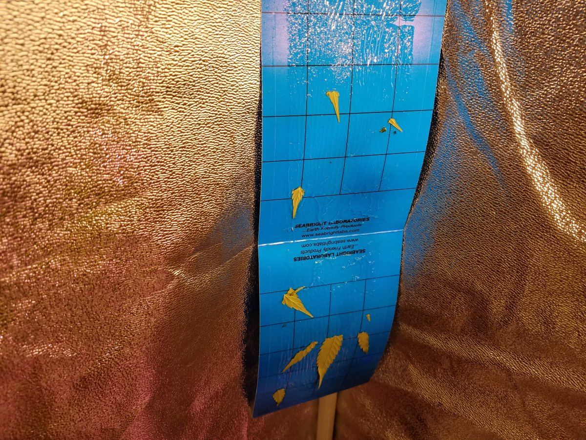 20170823 082815