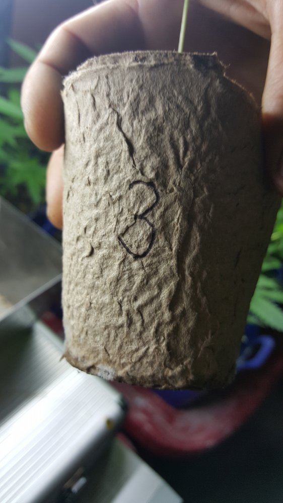 20170827 143700