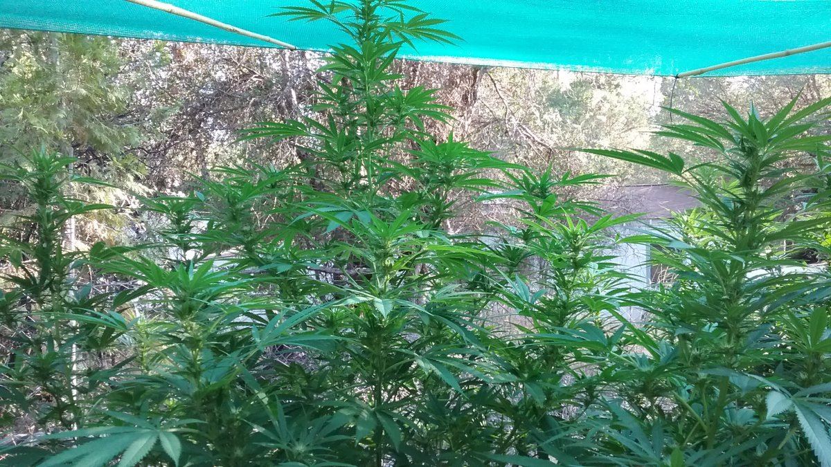 20170830 180923