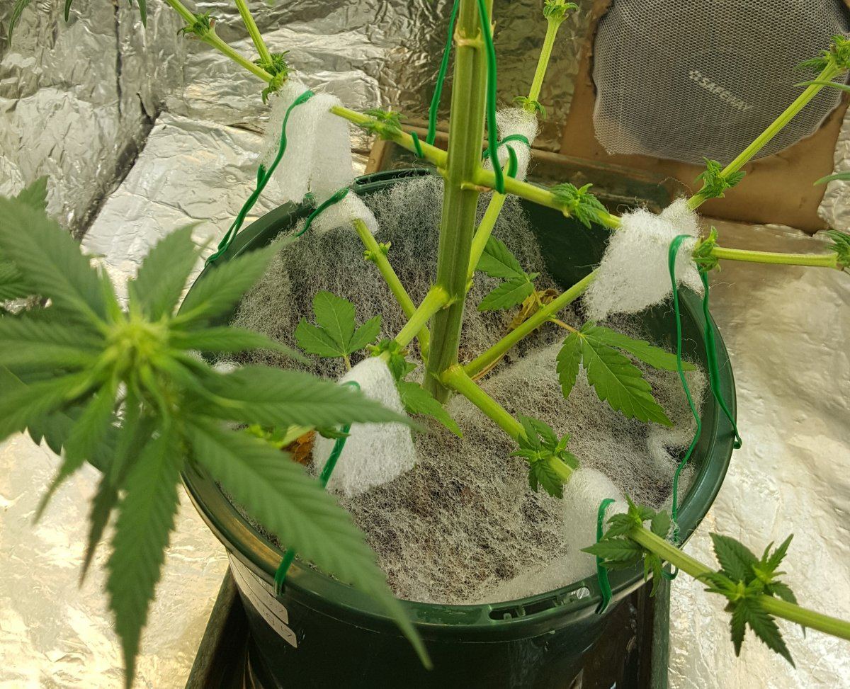 20170831 101508