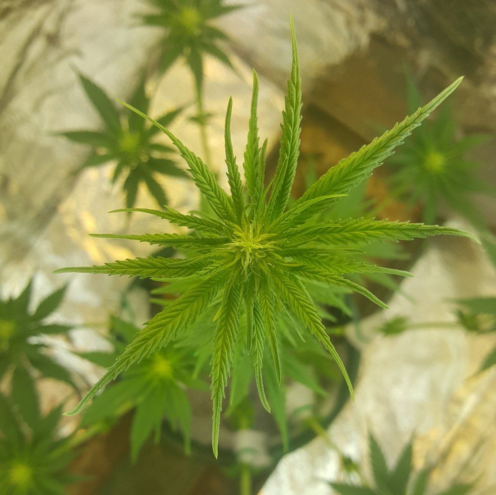 20170901 080110