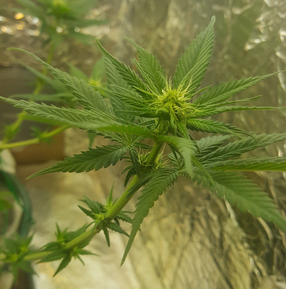 20170901 080853