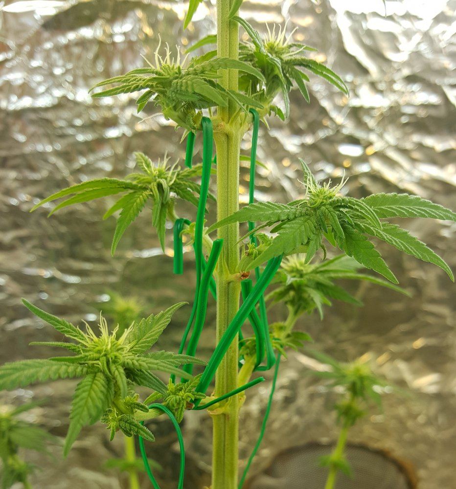 20170904 154642