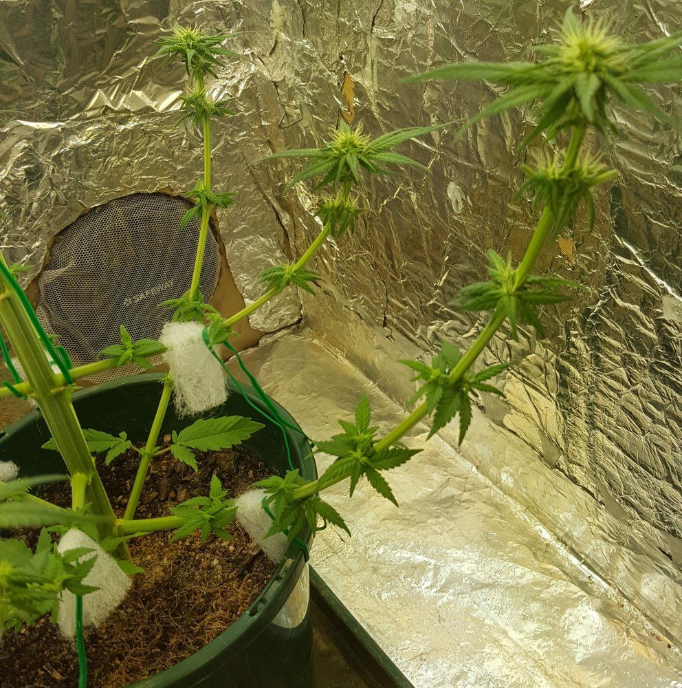 20170904 154714