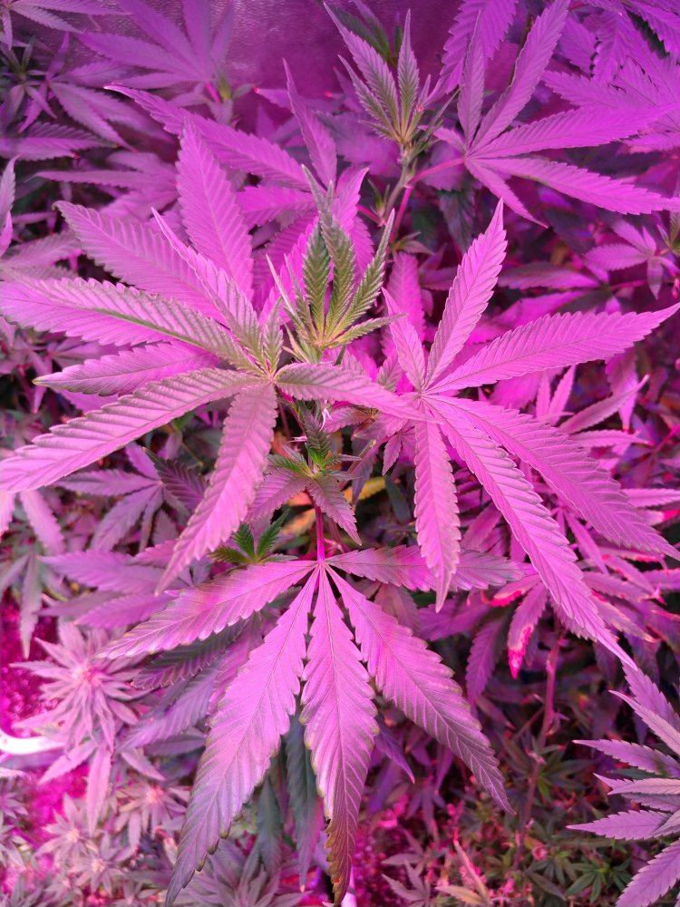 20170904 232802