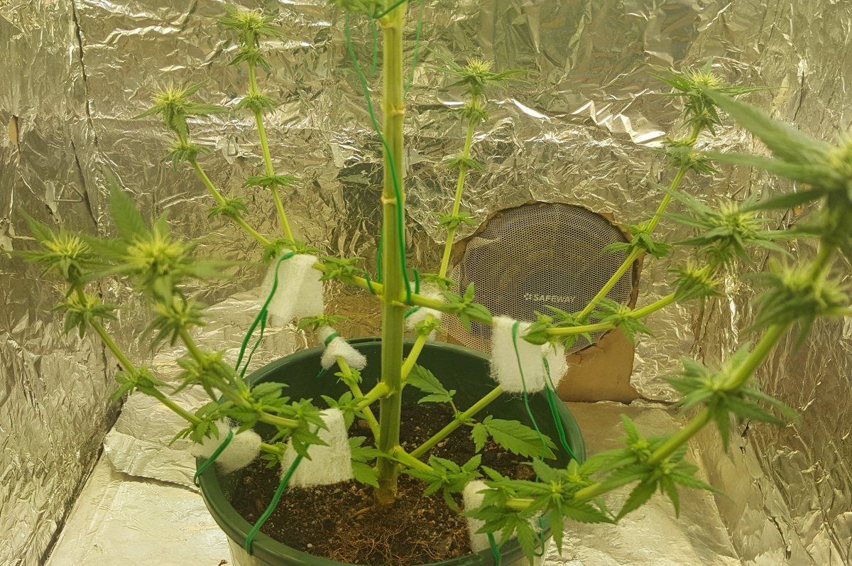 20170905 154439