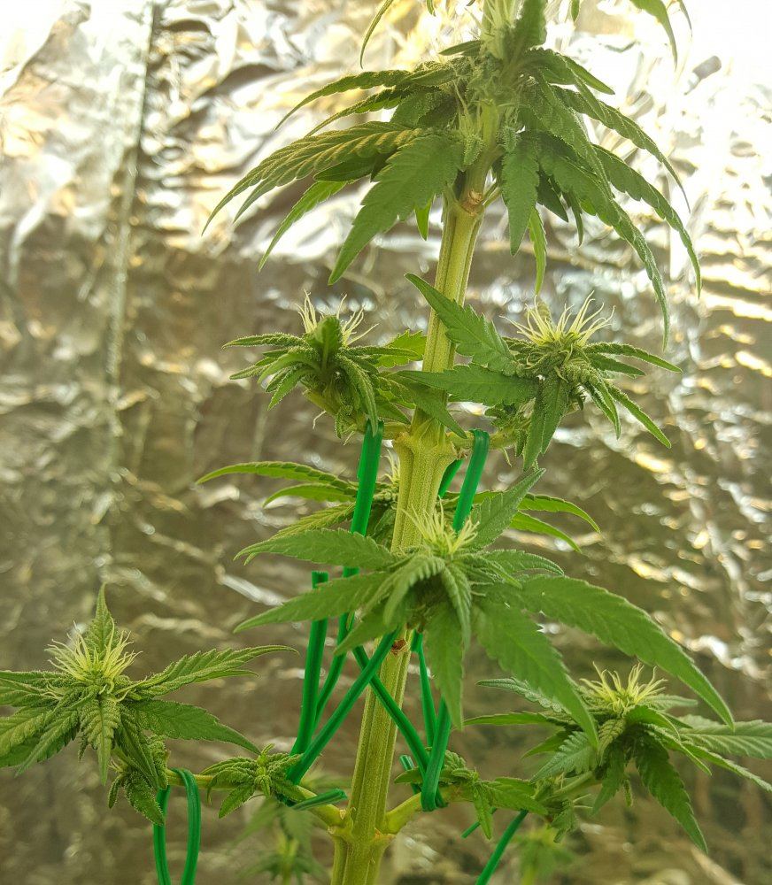 20170907 155130