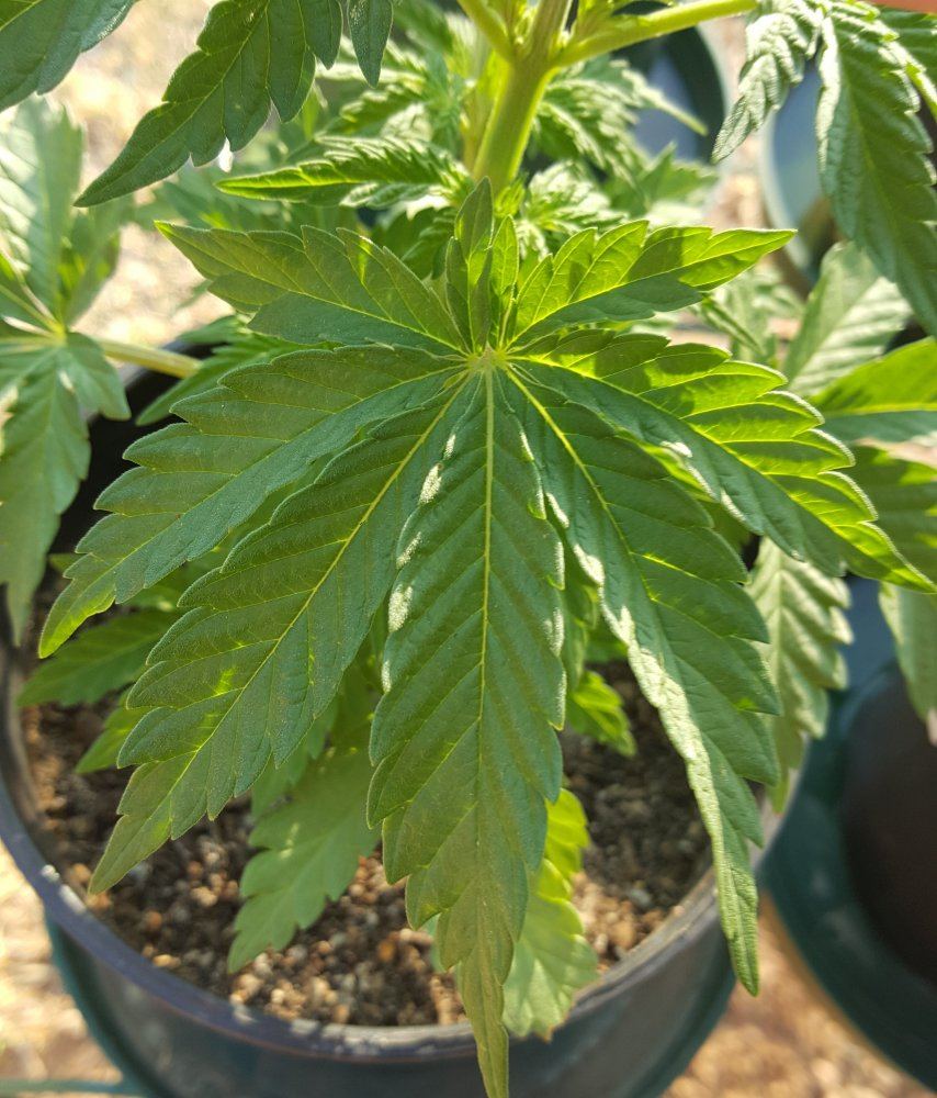 20170912 072721