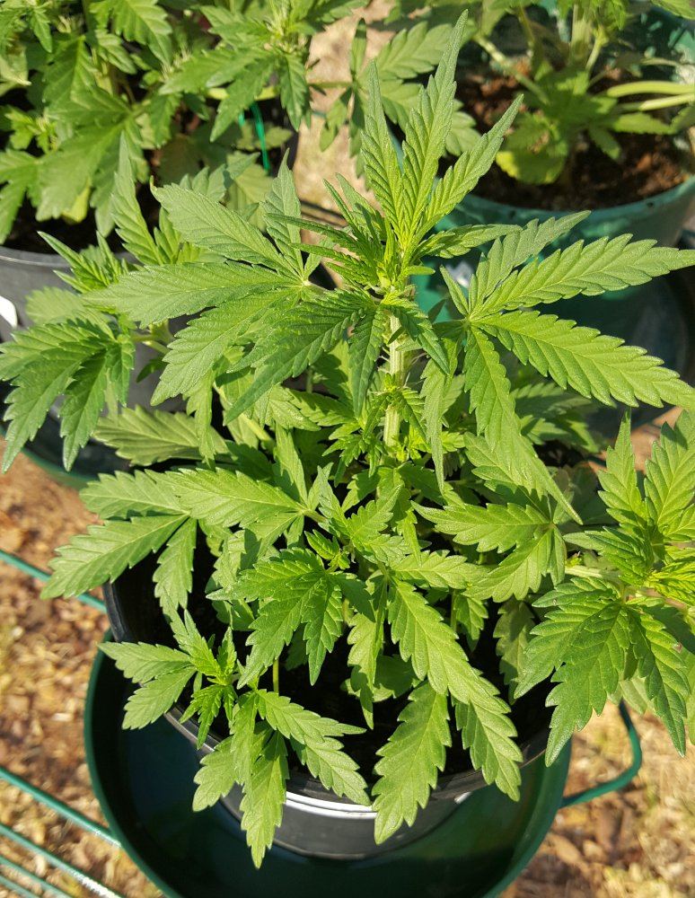 20170915 074457