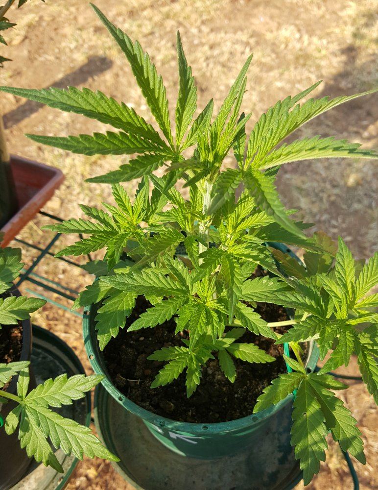 20170915 074500