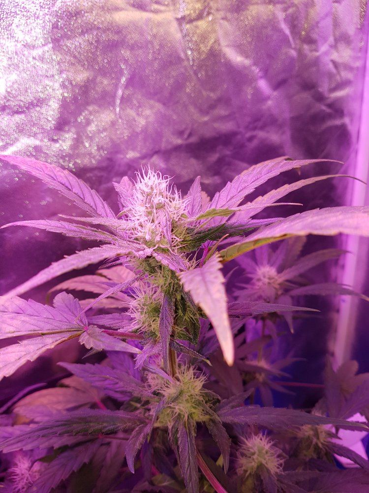 20170915 132850