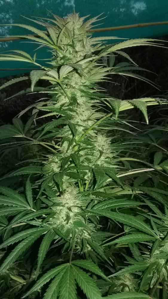 20170926 190200